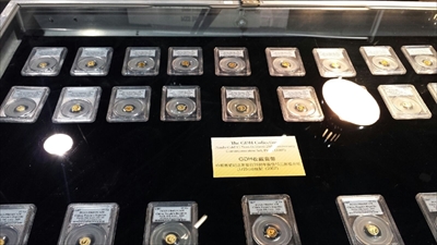 GDH Gold Pandas